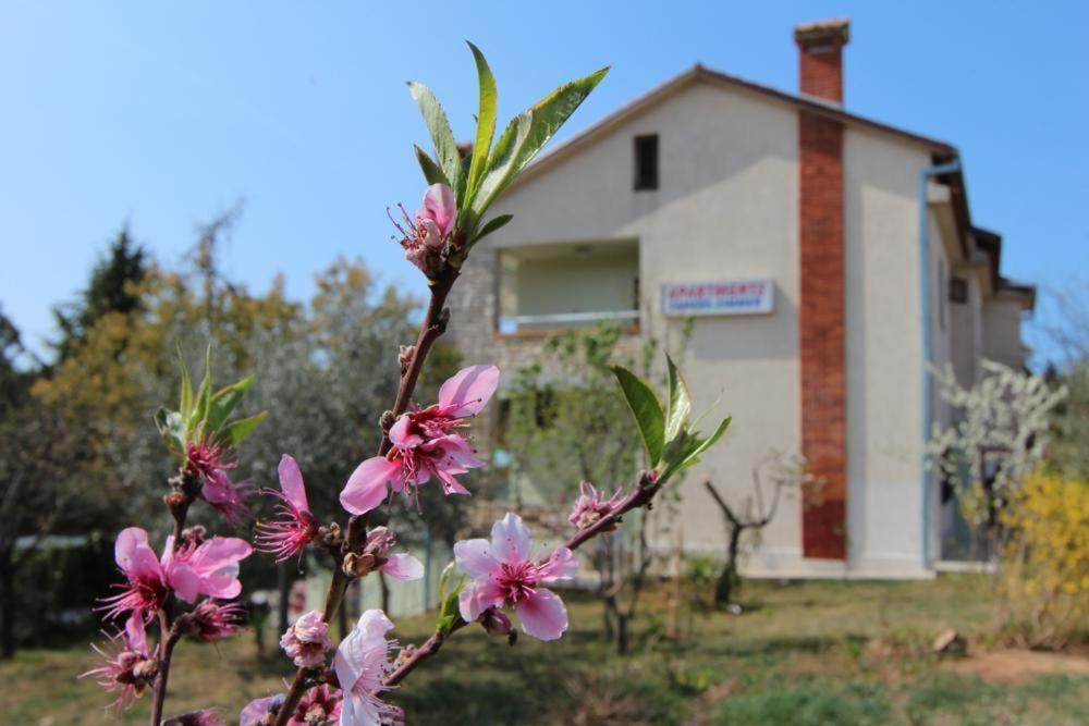Apartments Sandra Rovinj Zewnętrze zdjęcie