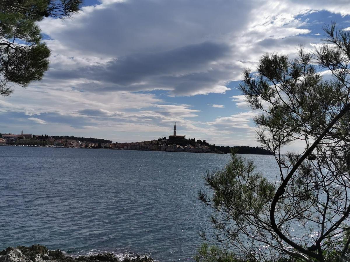 Apartments Sandra Rovinj Zewnętrze zdjęcie